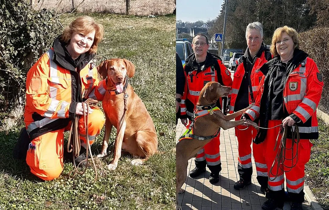 Schlüchtern: Rettungshund Pegasus findet vermisste Person