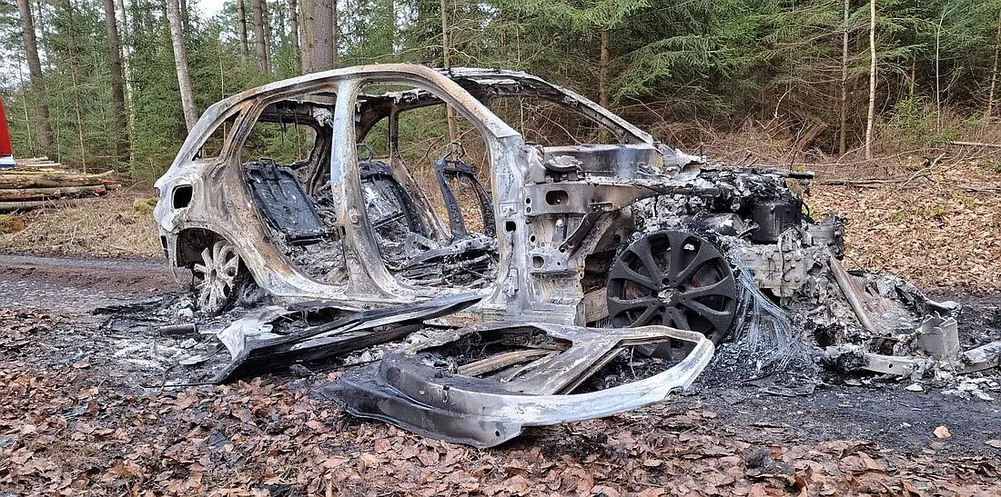 Steinau: Ausgebranntes Auto im Wald entdeckt