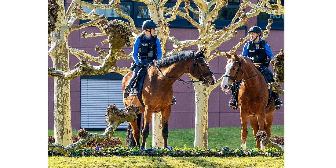 Umfrage im Kurpark Bad Orb: 75 Prozent fühlen sich sicher