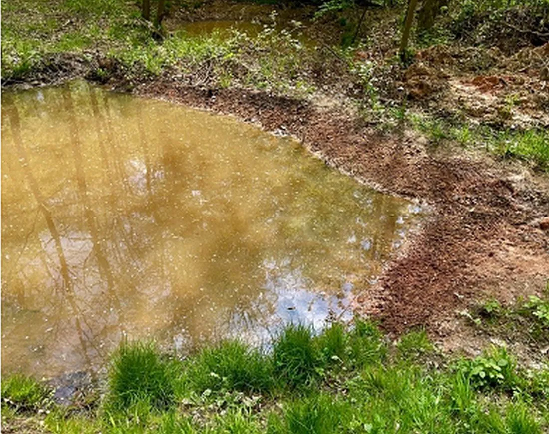 Naturschauspiel im Gelnhäuser Waldgebiet