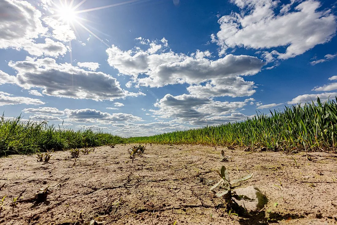 Den Klimawandel sichtbar machen