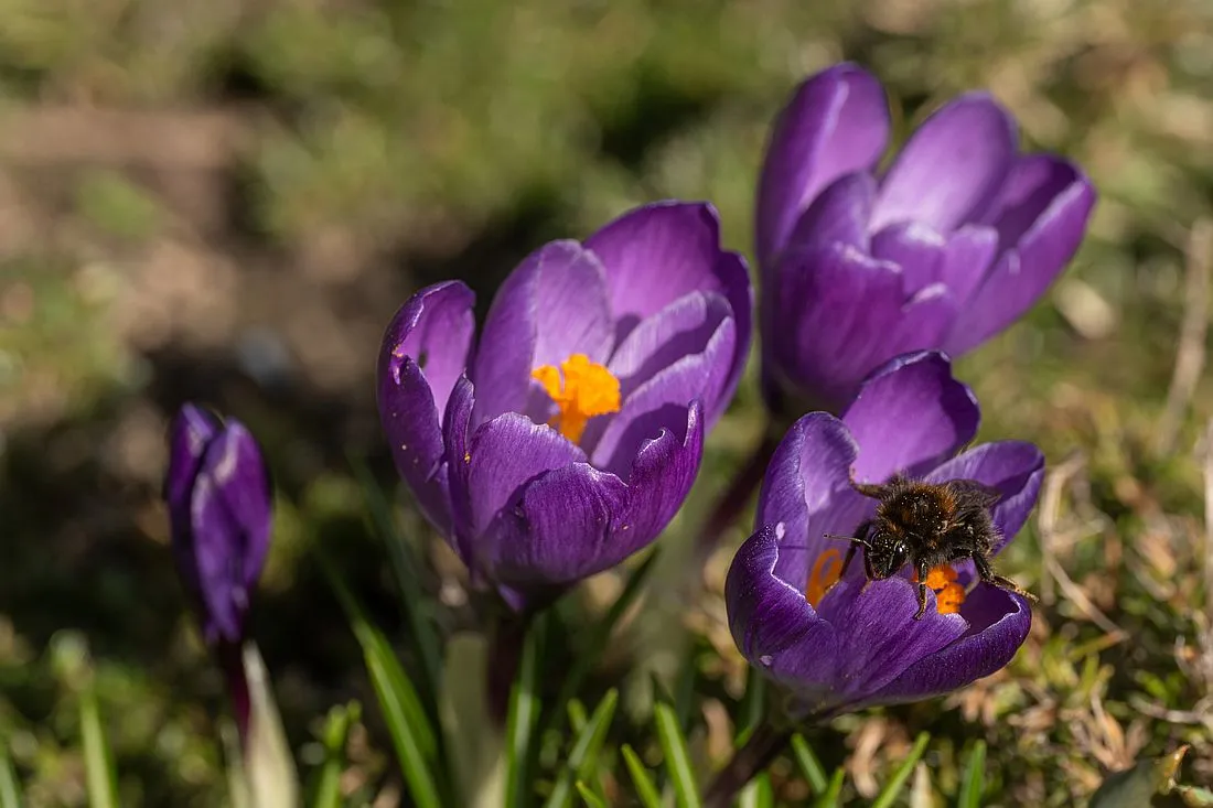 Leser-Fotos: So schön ist der Main-Kinzig-Kreis