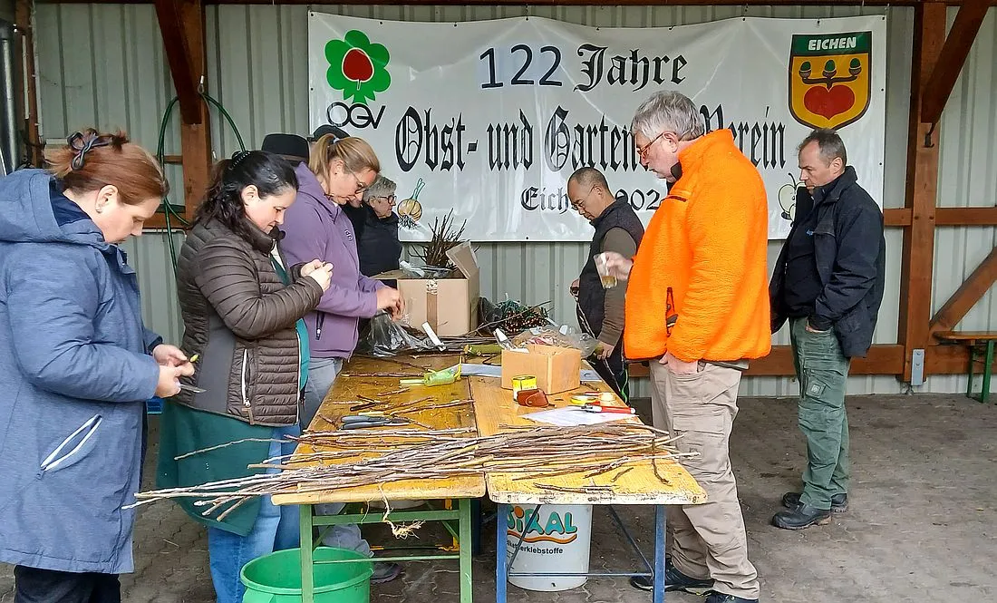 Obstbäume veredeln durch Kopulation
