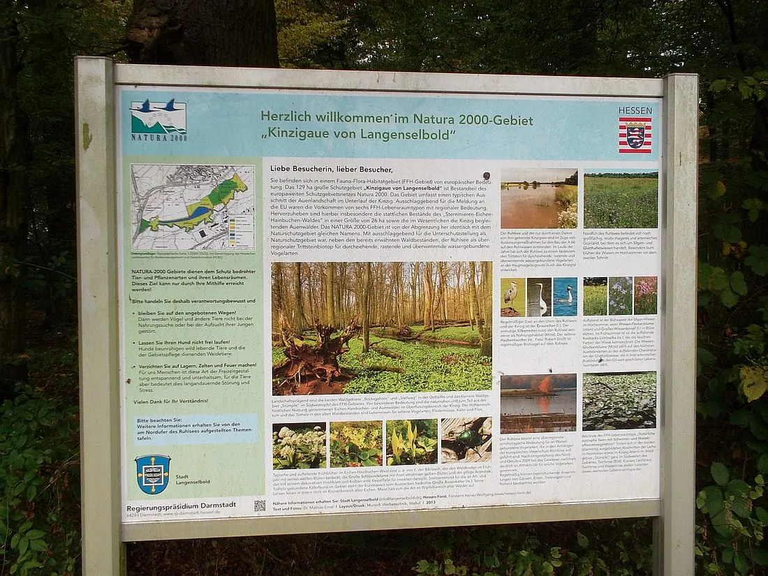 Exkursion ins Vogelparadies am Ruhlsee