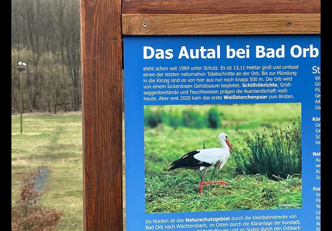 Störche sind wieder da