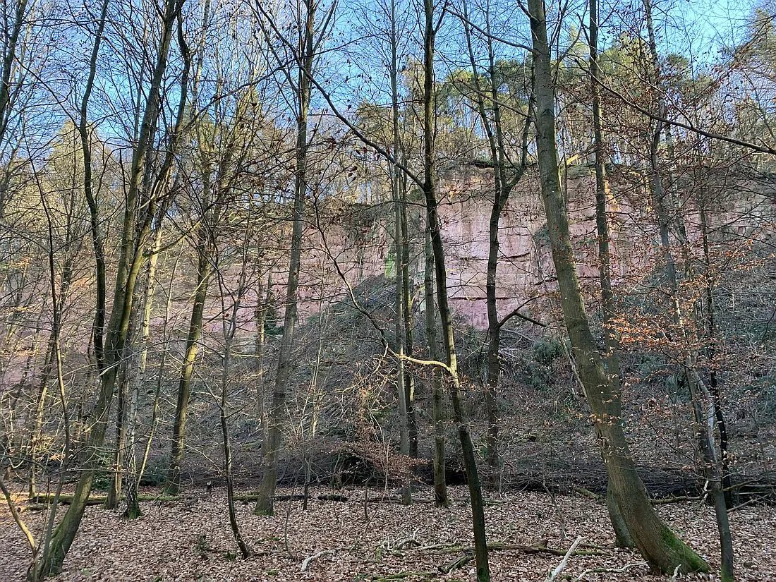 Was uns Steine erzählen: Geologischer Streifzug Rauen-Berg-Spur