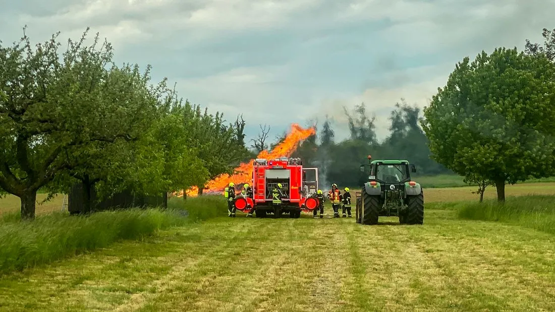 Langenselbold: Feuerwehr zu Flächenbrand alarmiert