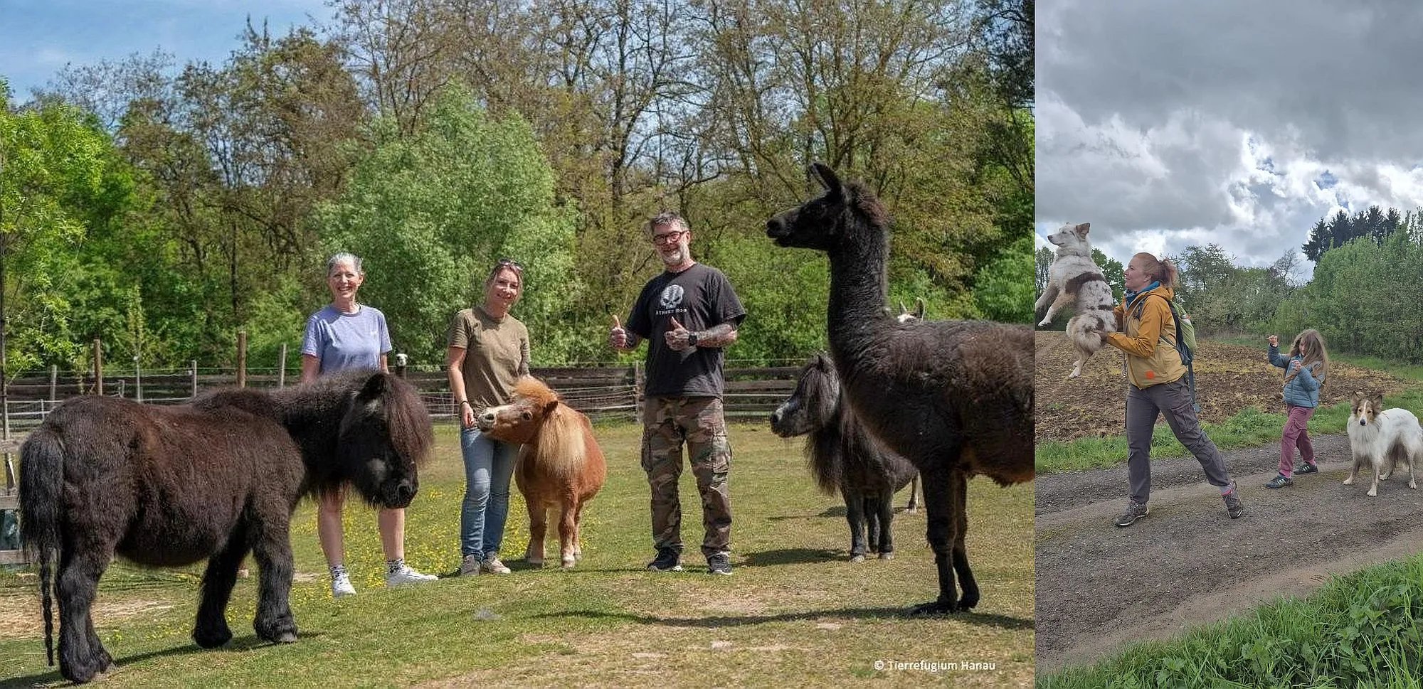 „Gassi kann jeder“: Abenteuer für Mensch und Hund zugunsten des Tierrefugiums Hanau