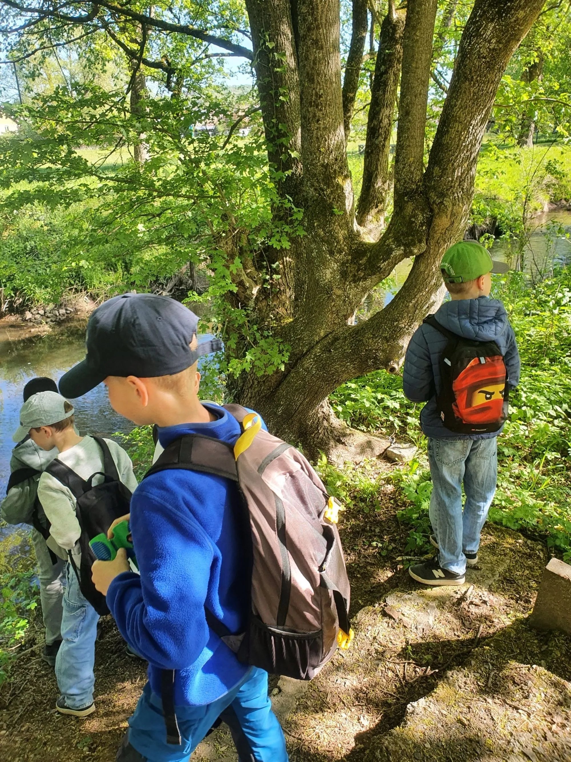 xnaturparkschule az3