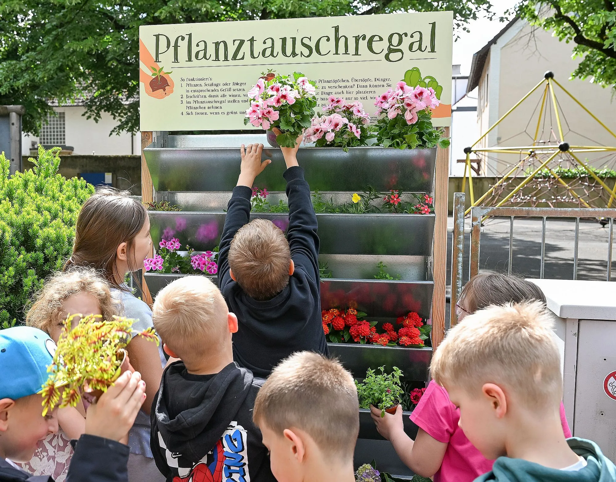 plfanztauhsregstein az1