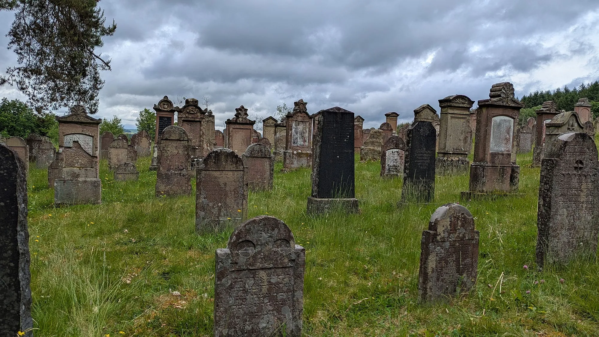 Führung über den Jüdischen Friedhof in Altengronau