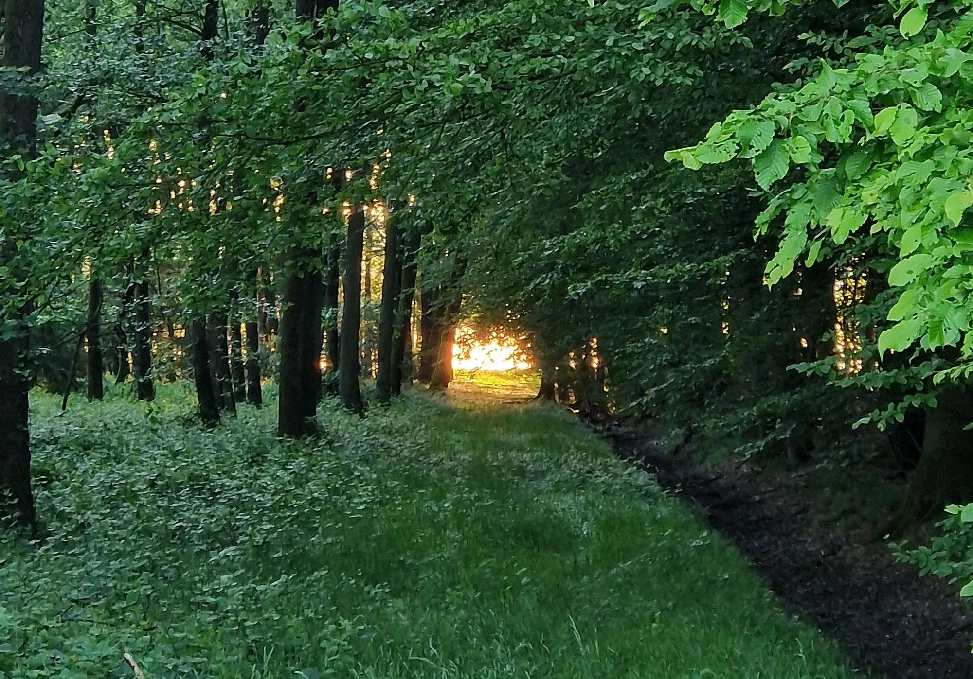Leser-Fotos: So schön ist der Main-Kinzig-Kreis
