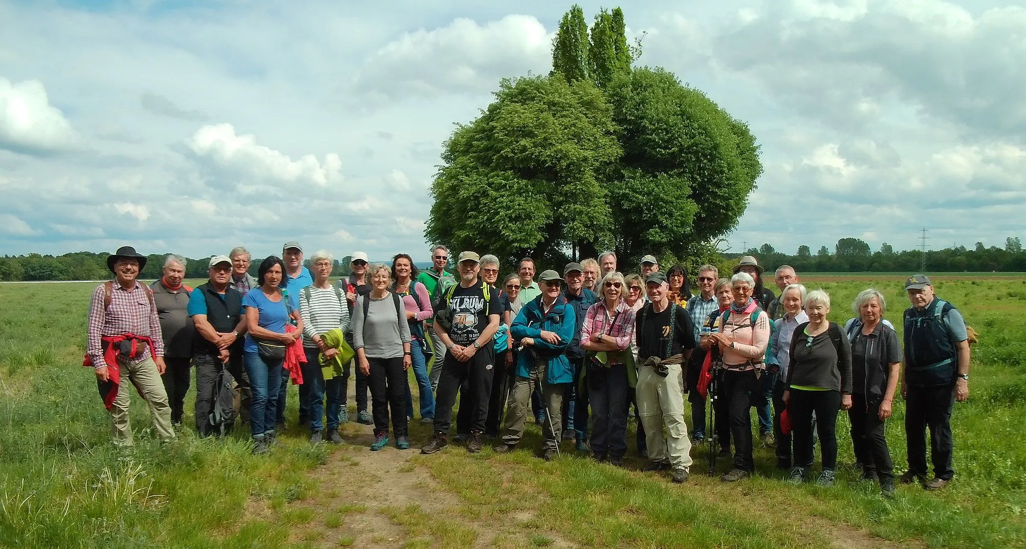  Historische Kleinode in Babenhausen und die Königin der Pyramideneichen