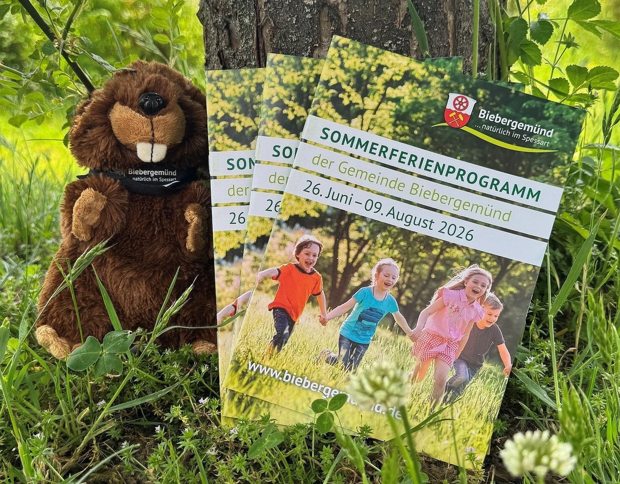 Sommerferien voller Abenteuer, Kreativität und Gemeinschaft