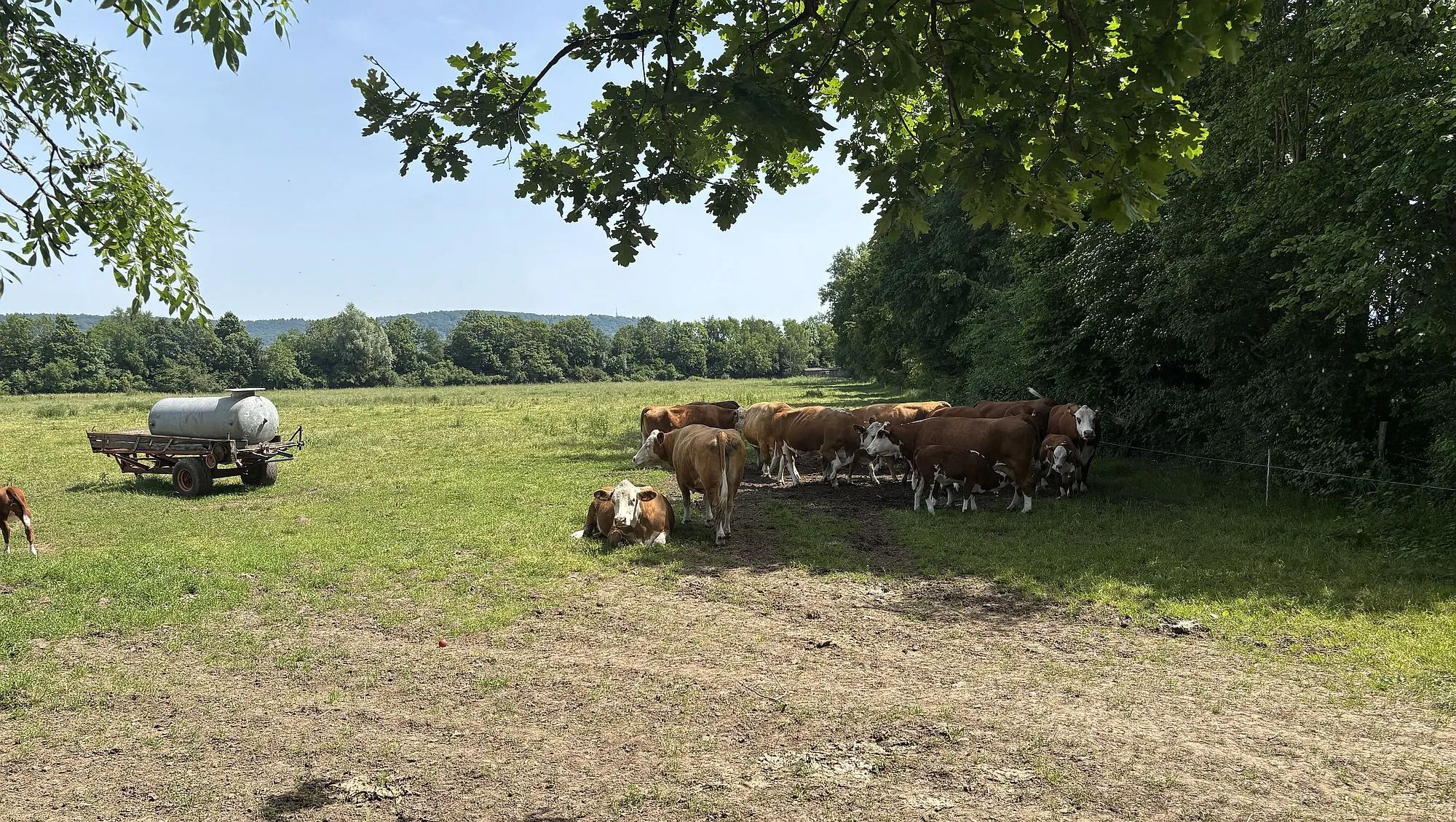 Leser-Fotos: So schön ist der Main-Kinzig-Kreis