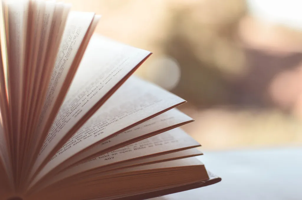 Vorsprung Online Buchempfehlung Krimi Klassiker Narren Sterben Von Mario Puzo