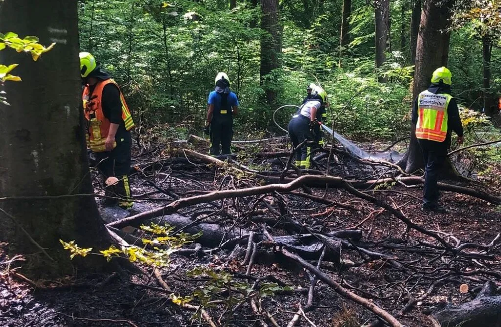 Vorsprung Online Hasselroth Waldbrand Sorgt Fur Einsatz Mehrerer Feuerwehren Vorsprung Online Hasselroth Waldbrand Sorgt Fur Einsatz Mehrerer Feuerwehren