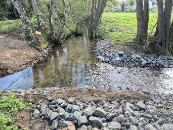 Ehemaliges Wehr zur Hautzenmühle.