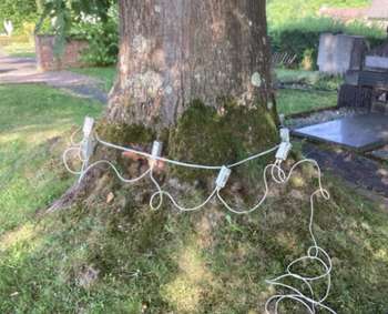 Die Untersuchung mittels Schalltomographie.