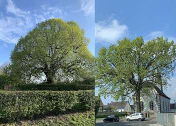 Bilder: Winfried Heilmann