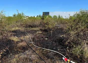 Quelle: Feuerwehr Hanau